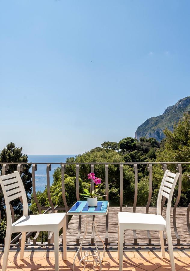 Oliveto Capri Apartments Экстерьер фото